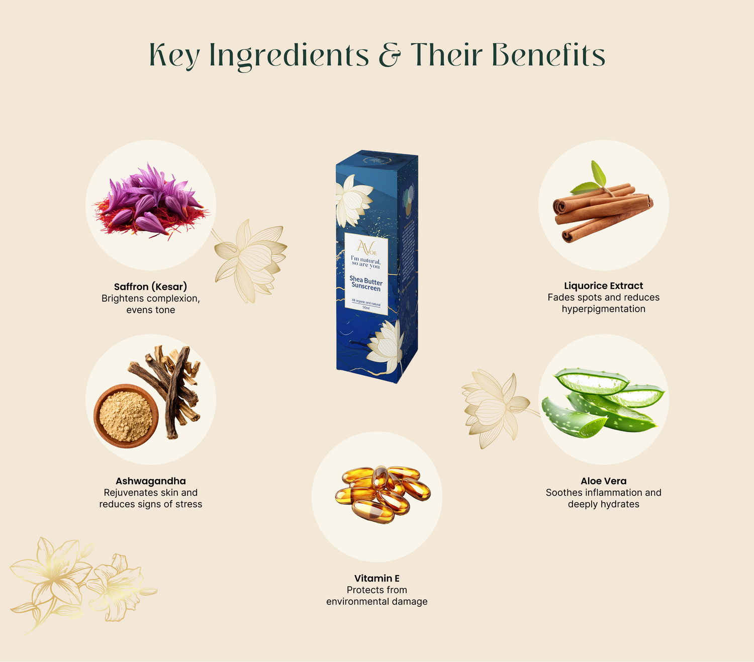 Key ingredients and their benefits with a box in the center on a beige background